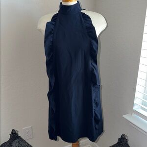 Ted Baker Navy Dress